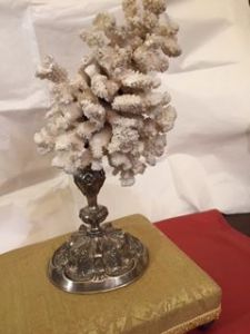 Corallo bianco su base bellissima argento del 1700 h 45 cm